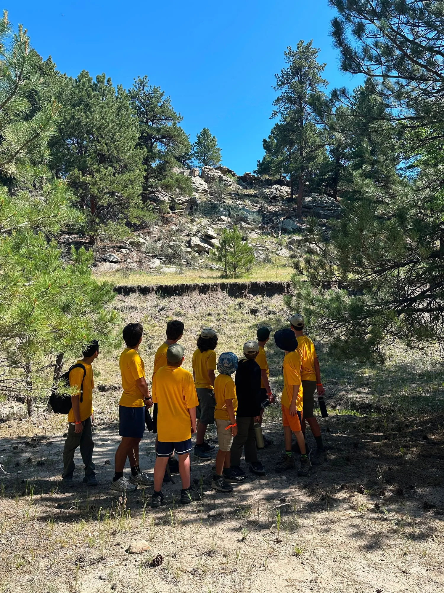 Scouts in yellow shirts stand on a pine-forest trail, looking up a rocky slope.